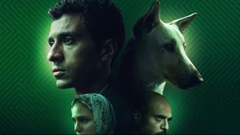 البحث عن منفذ لخروج