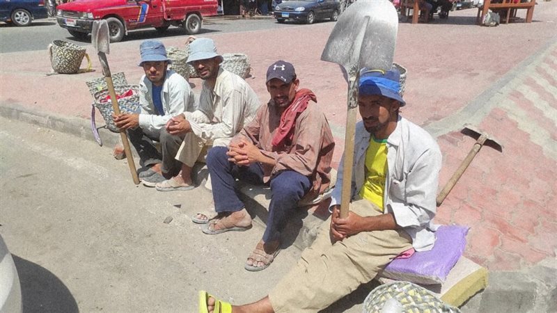منحه العماله الغير