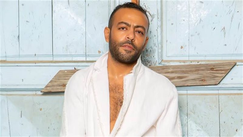 الفنان تامر عاشور