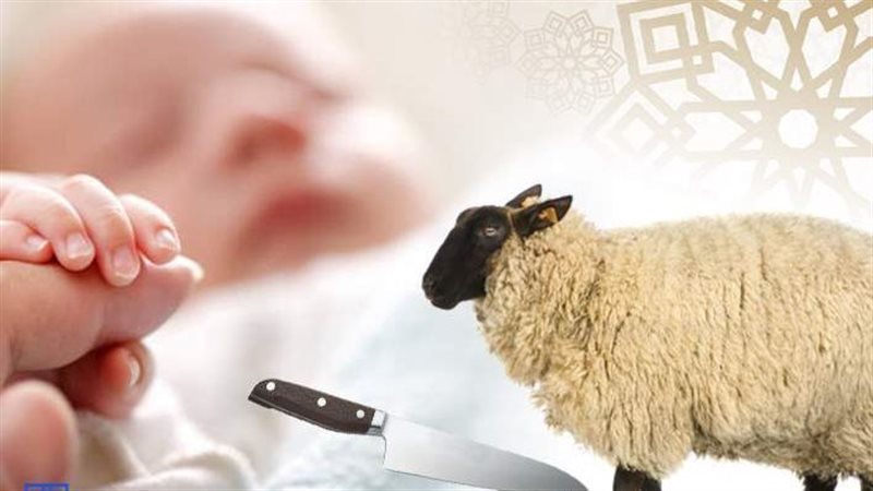 حكم العقيقة للمولود