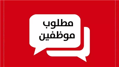 رابط بوابة الوظائف الحكومية 2025 .. وظائف التعليم والمالية والسكة الحديد