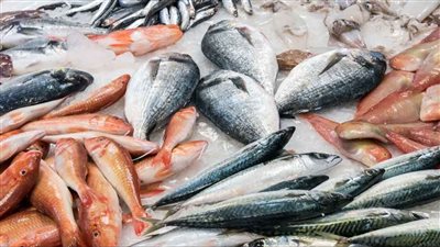 تعرف على أسعار السمك والجمبري في سوق العبور اليوم الجمعة 17 يناير