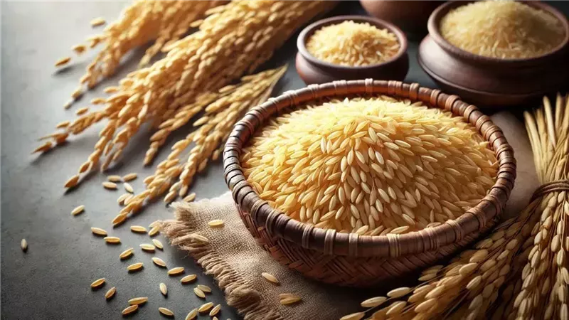 سعر الأرز الشعير