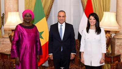 وزير الخارجية يبحث إنشاء خط ملاحي بين مصر والسنغال