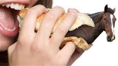   الإفتاء تحسم الجدل حول جواز أكل لحم الحصان .. حلال أم حرام؟