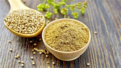 الكزبرة.. فوائد صحية مذهلة وراء نكهتها المميزة في الطهي والعلاج