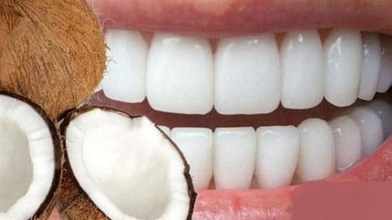 فوائد جوز الهند