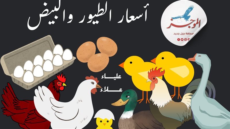 أسعار الدواجن البيضاء