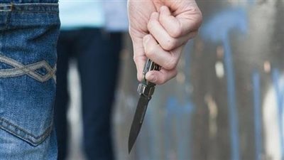 تشكيل لجنة للتحقيق في طـ.ـعن طالب زميله بالقناطر الخيرية