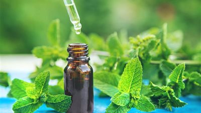 زيت النعناع.. كنز طبيعي يقدم فوائد مذهلة لصحتك وجمالك