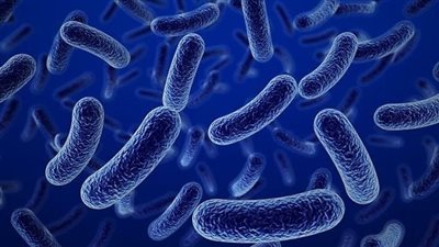 أعراض مشتركة بين فيروس ماربورغ والإنفلونزا.. تشابهات واختلافات يجب معرفتها