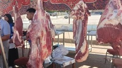 خطة الحكومة للسيطرة على أسعار اللحوم لاستقبال شهر رمضان 2025
