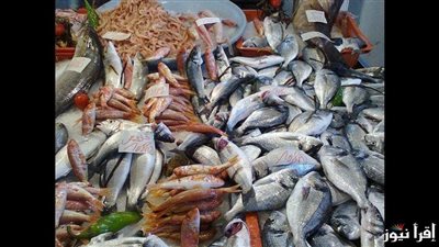 أسعار السمك والجمبرى اليوم الأربعاء 22-1-2025 داخل الأسواق والشوادر