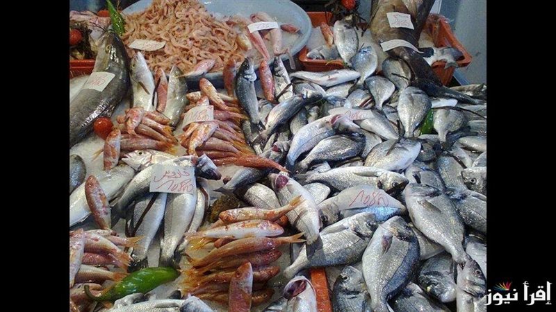 اسعار السمك والجمبرى