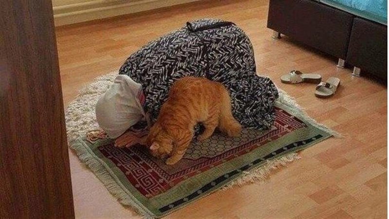 مواقيت الصلاة اليوم