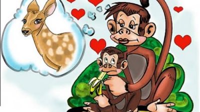 اعرف حكاية مثل ”القرد في عين أمه غزال”