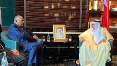 وزير الخارجية يسلم ملك البحرين رسالةً خطية من الرئيس السيسى