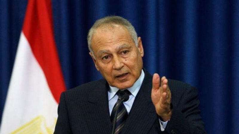 أبو الغيط