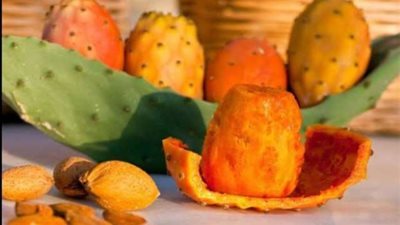 التين الشوكي.. الحل السحري للدايت وحرق الدهون