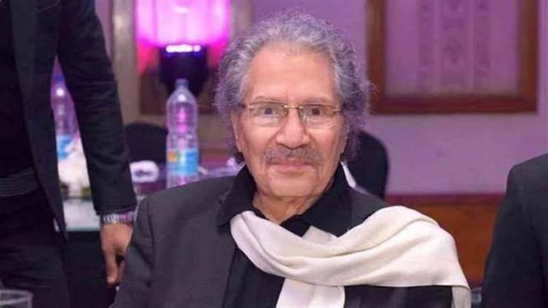 سناء شافع