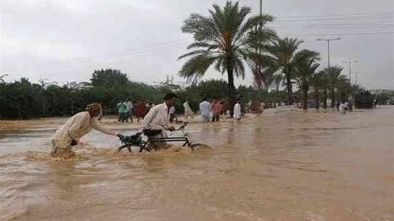 الموجز