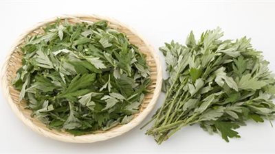 الشيح.. الحل السحري لتسكين الألم وعلاج الديدان