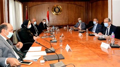 وزيرة الصناعة تبحث مع وزير الكهرباء آليات تفعيل قانون تفضيل المنتج المحلى فى المشتروات الحكومية