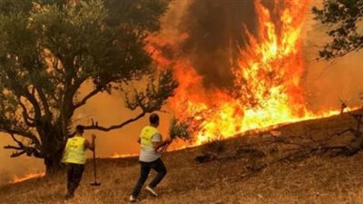 السلطة الفلسطينية تساعد إسرائيل في اخماد حرائق القدس