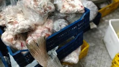 صور صادمة.. ضبط 2,4 طن مصنعات لحوم ودواجن وأسماك غير صالحة للإستهلاك الأدمى في مطاعم ومحلات بالجيزة