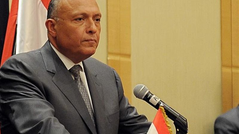 سامج شكري وزير الخارجية