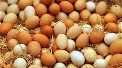 سعر كرتونة البيض اليوم 26 يناير 2025.. البلدي وصل لكام