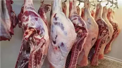 أسعار اللحوم اليوم الأحد 26-1-2025 داخل الأسواق 