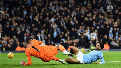 مواعيد مباريات الجولة الـ 25 ببطولة الدوري الإنجليزي والقنوات الناقلة 