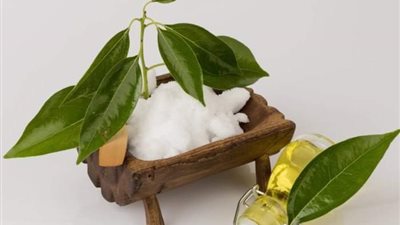 فوائد الكافور في علاج الالتهابات والتورم .. طرق آمنة للاستخدام