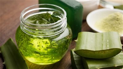 فوائد جل الصبار المذهلة للشعر .. أبرزها التنظيف وتقوية البصيلات