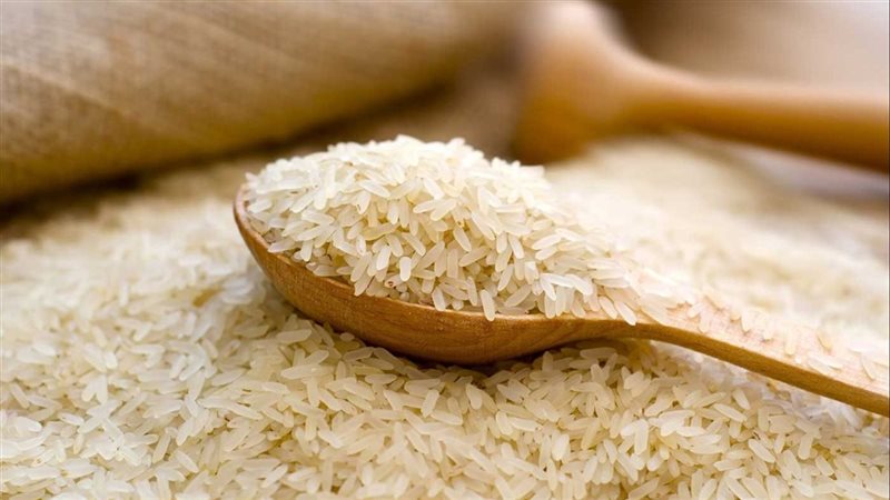 أسعار الأرز اليوم