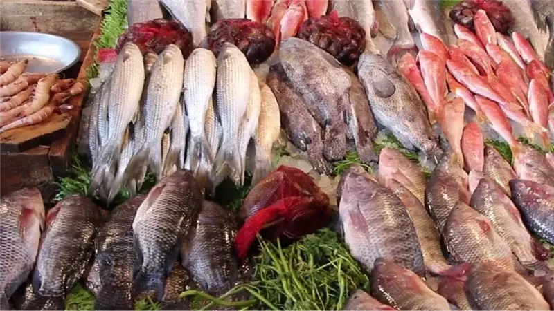 أسعار السمك اليوم