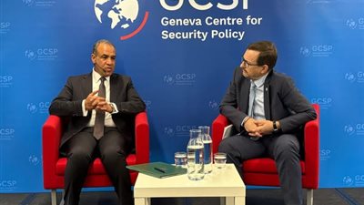 وزير الخارجية يؤكد عدم وجود حل عسـ ـكري لأزمات المنطقة