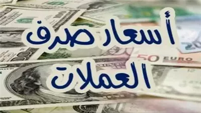 أسعار العملات مقابل الجنيه اليوم الأربعاء 29-1-2025 مصر
