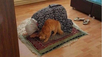 مواقيت الصلاة اليوم الخميس 30-1-2025 في المدن والمحافظات.. التزموا بالصلوات الخمس