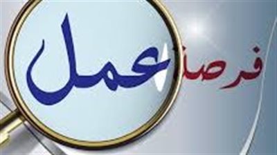 لينك بوابة الوظائف الحكومية.. وظائف الأوقاف الشروط والمستندات المطلوبة 