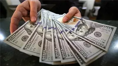 سعر الدولار مقابل الجنيه المصري اليوم الجمعة 31 يناير 2025
