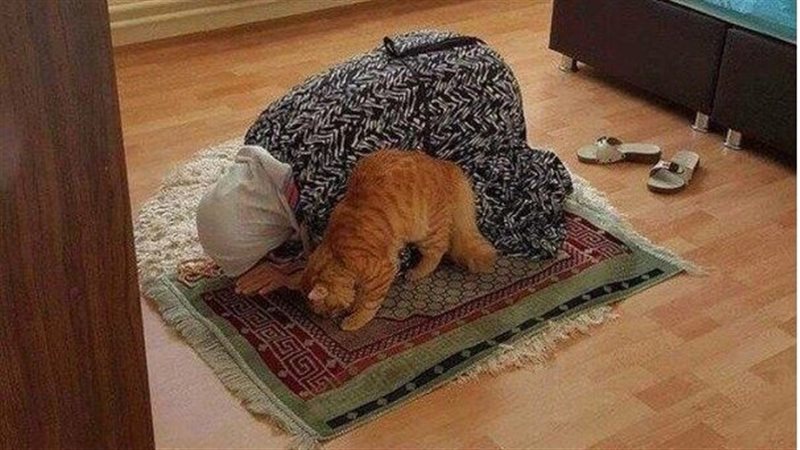 مواقيت الصلاة اليوم