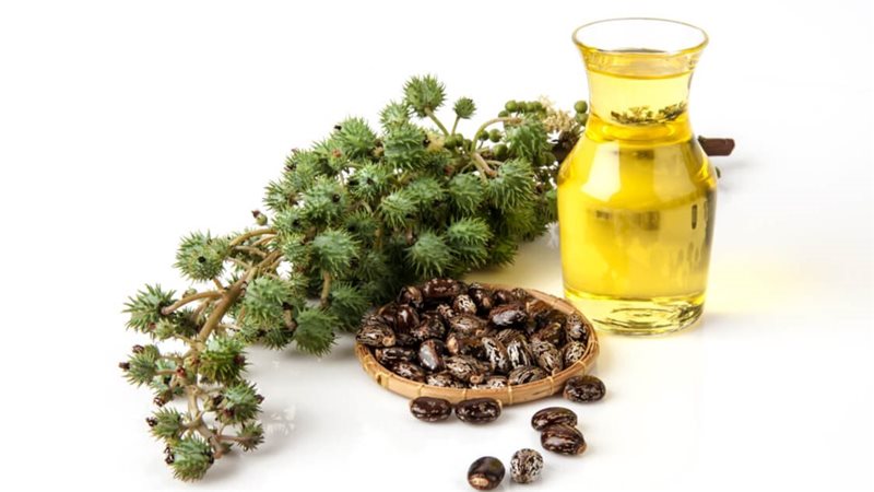 فوائد زيت الخروع