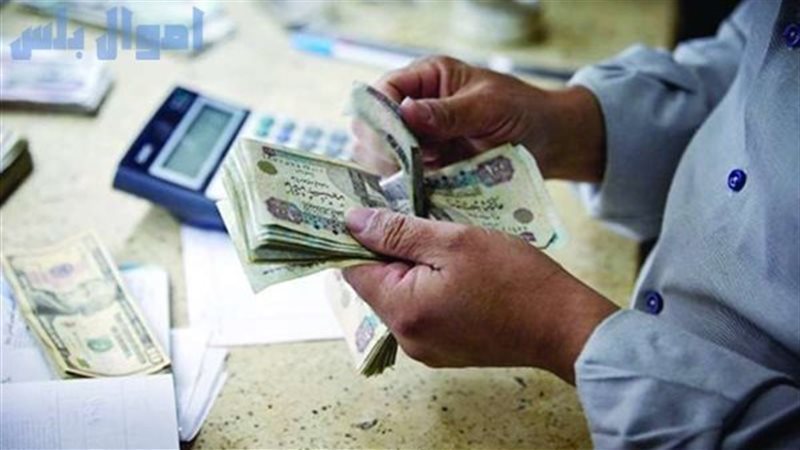 صرف معاشات فبراير