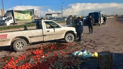  إصابة 14 عاملا في تصادم سيارتين بـ حادث المنيا بسبب الطماطم