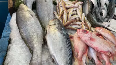 تعرف على أسعار السمك والجمبري اليوم الجمعة 31 يناير 2025
