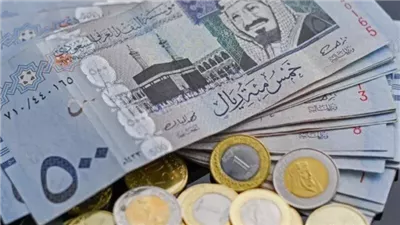 استقرار سعر الريال السعودي اليوم الأحد 2 فبراير 2025 أمام الجنيه المصري 