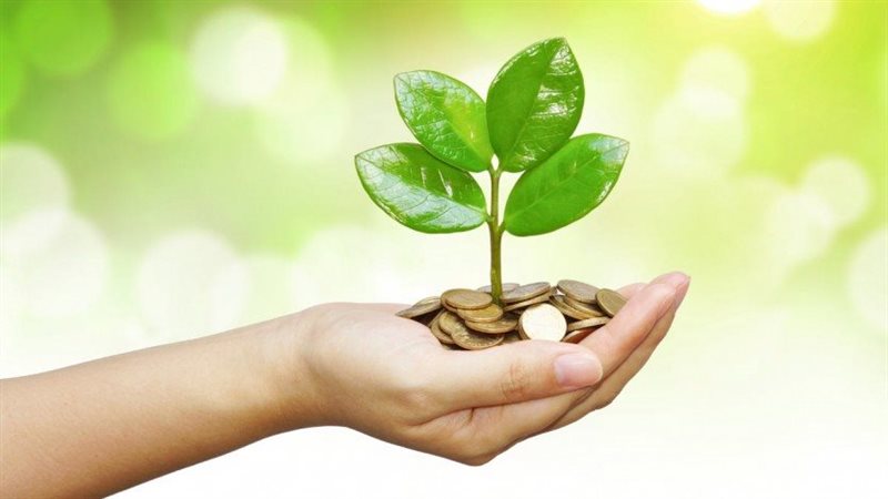 حكم إخراج الصدقات