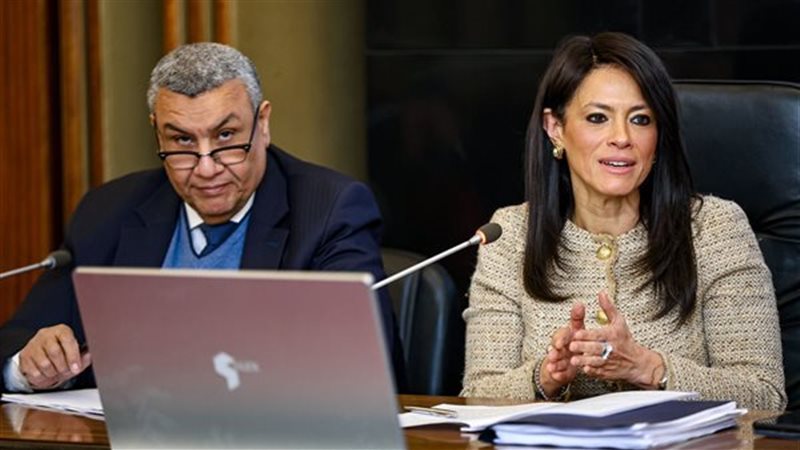 وزيرة التخطيط ووكيل